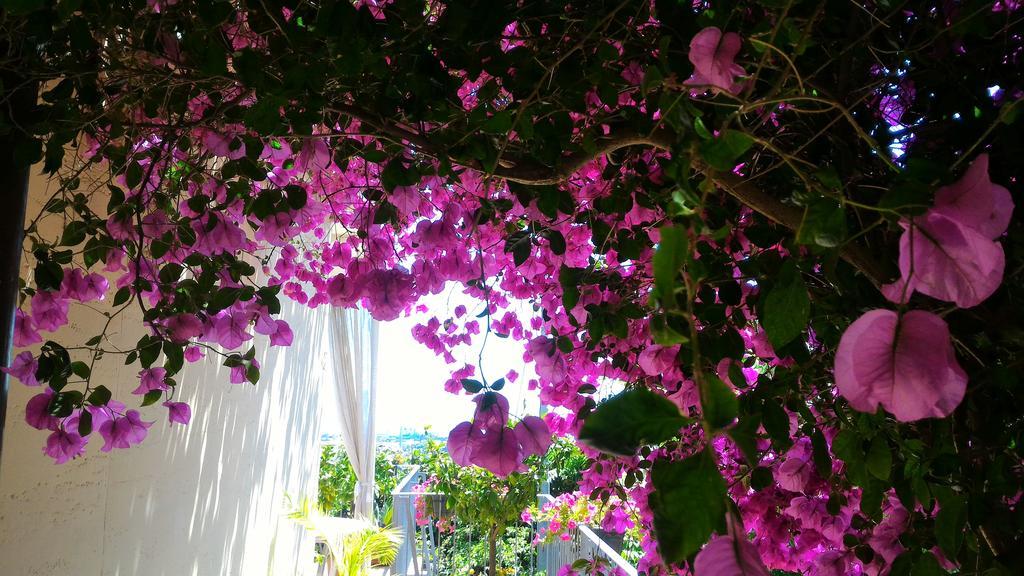 Dreams Guest House La Spezia Exterior photo